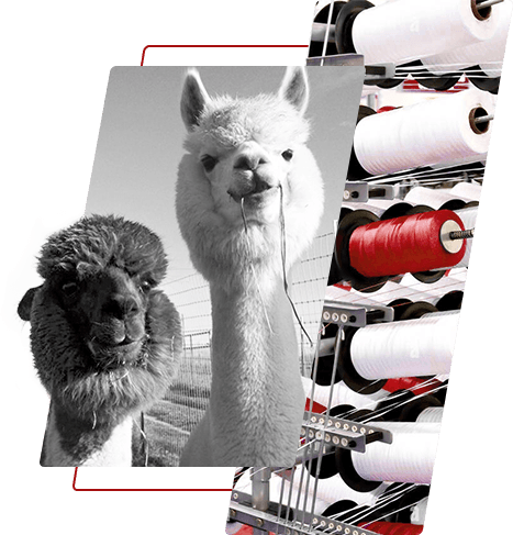 เส้นด้ายโพลีเอสเตอร์ย้อม